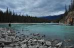 Após Athabasca Falls, o rio segue tranquilamente no Jasper National Park, em Alberta, no Canadá